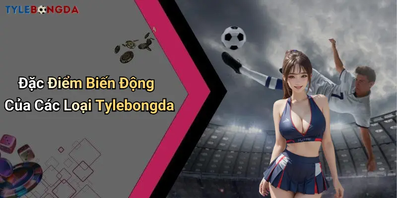 Đặc Điểm Biến Động Của Các Loại Tylebongda