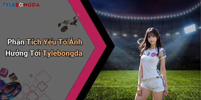 Phân Tích Yếu Tố Ảnh Hưởng Tới Tylebongda