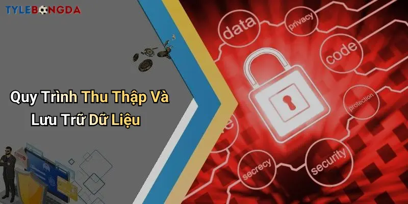 Quy Trình Thu Thập Và Lưu Trữ Dữ Liệu