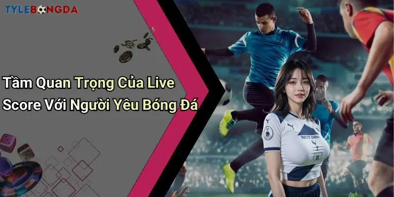 Tầm Quan Trọng Của Live Score Với Người Yêu Bóng Đá