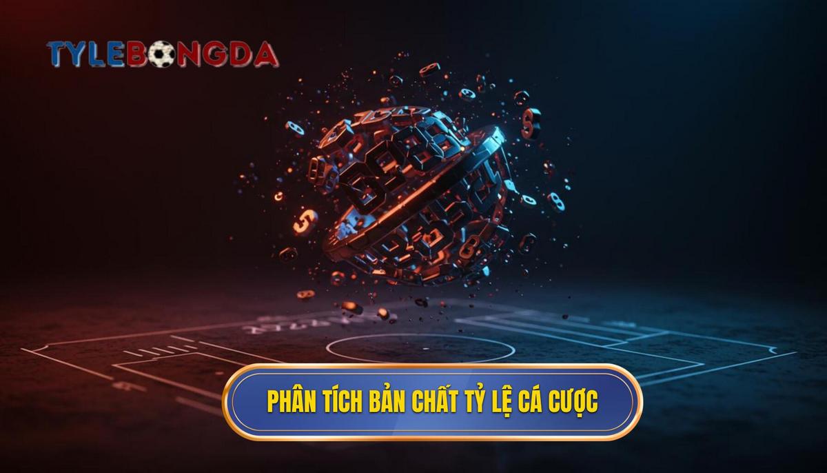 Phân Tích Sâu Sắc Về Bản Chất Tỷ Lệ Cá Cược