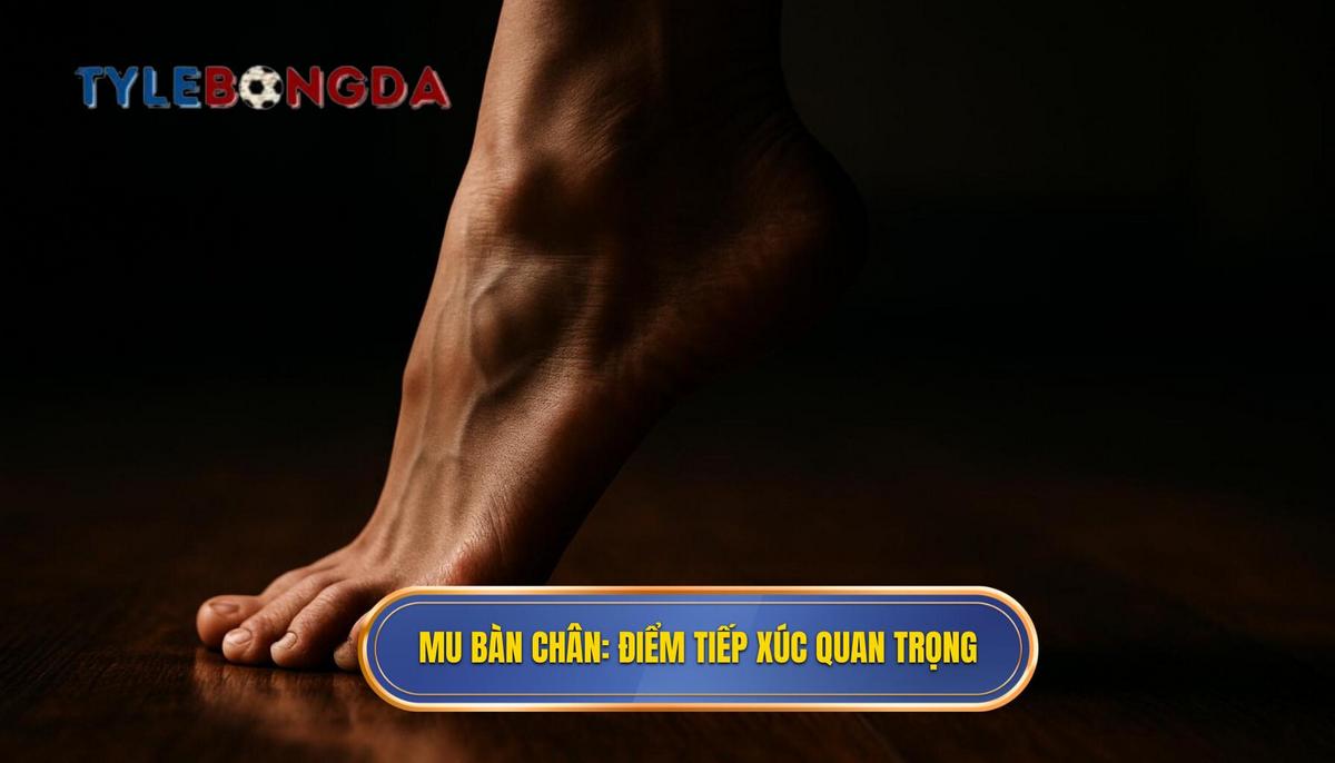 Mu bàn chân_ Điểm tiếp xúc Vàng