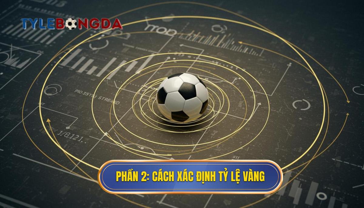 Phần 2_ Phương pháp Xác định Tỷ lệ vàng bóng đá hôm nay