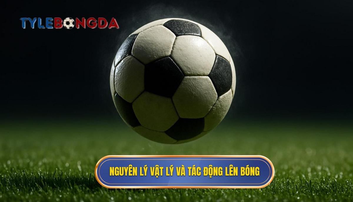 Nguyên lý Vật lý và Tác động của Má Ngoài lên Quỹ Đạo Bóng