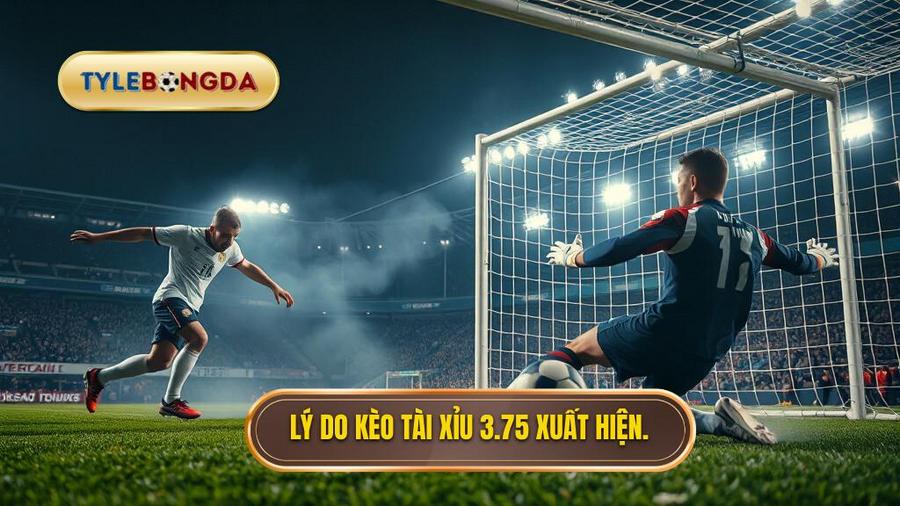  Lý do kèo tài xỉu 3.75 xuất hiện.